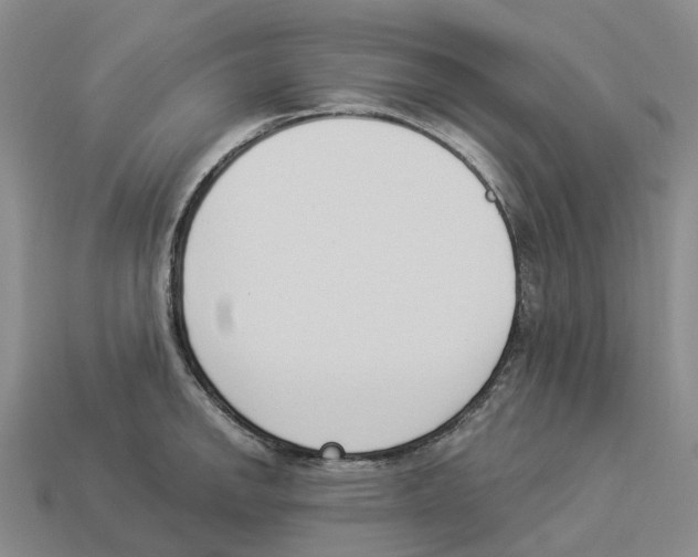 X0000114241142200911061543