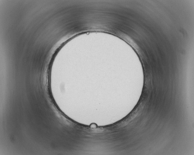 X0000114241144200911061543