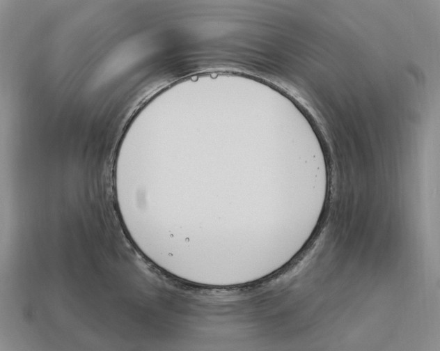 X0000114241145200911061543