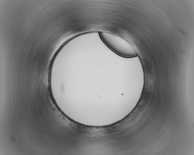 X0000114241148200911061543