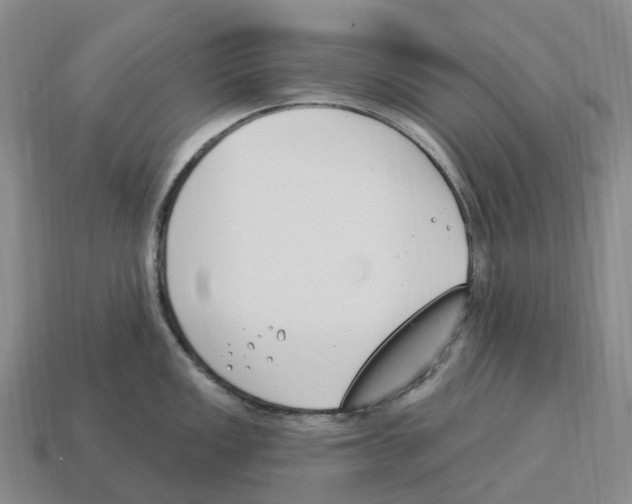 X0000114241149200911061543