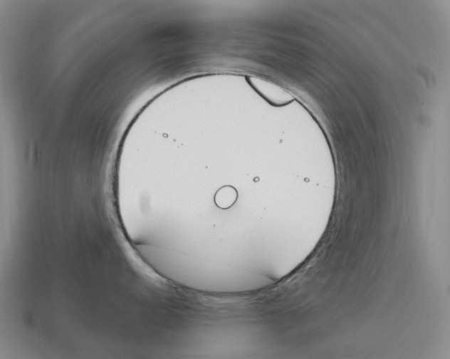 X0000114241152200911061543