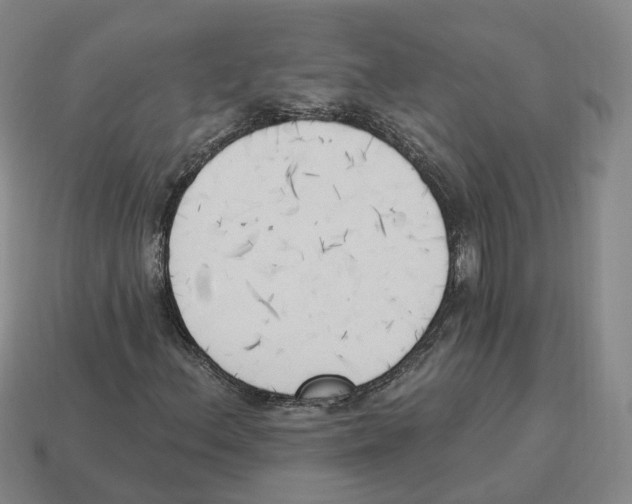 X0000114241156200911061542