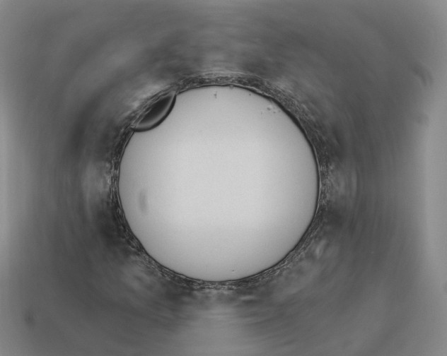 X0000114241157200911061542