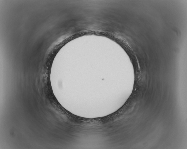 X0000114241159200911061542