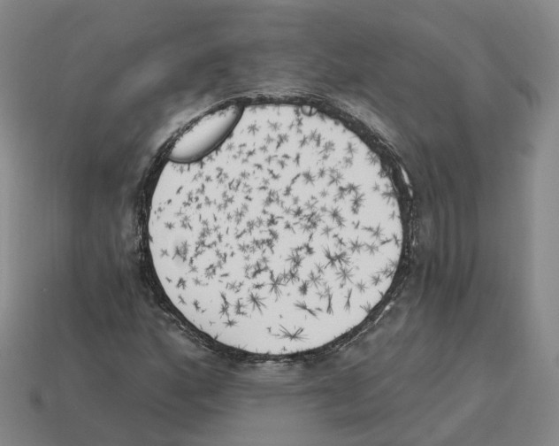 X0000114241160200911061542
