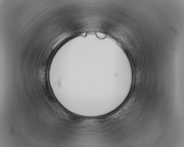 X0000114241162200911061542