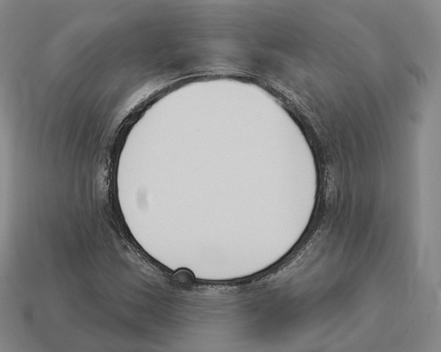 X0000114241163200911061542