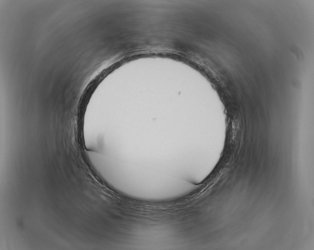 X0000114241165200911061542