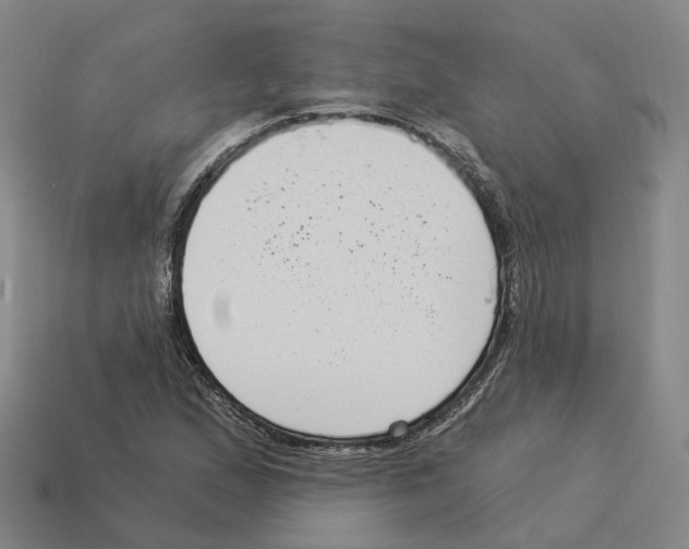 X0000114241167200911061542