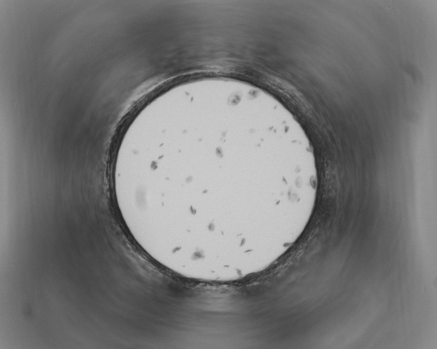 X0000114241168200911061542
