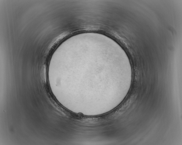 X0000114241171200911061542