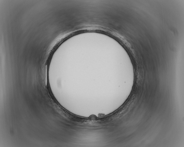 X0000114241175200911061542