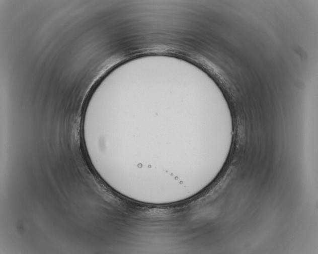 X0000114241178200911061542