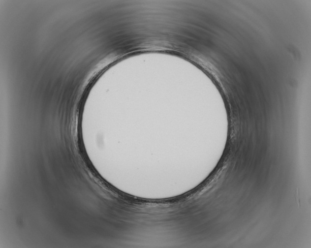 X0000114241179200911061542