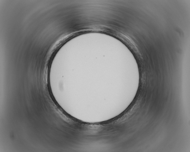 X0000114241180200911061542