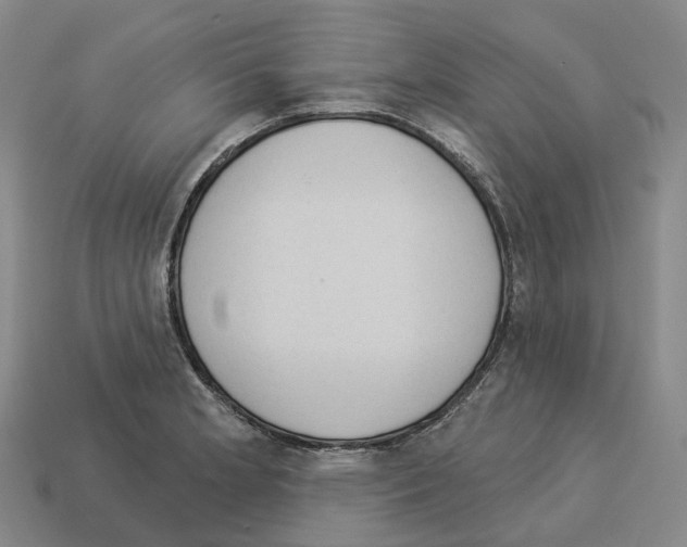 X0000114241181200911061542