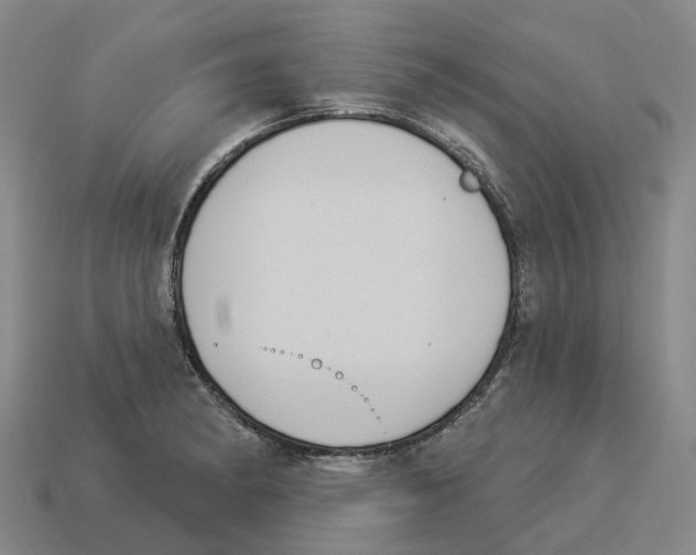 X0000114241182200911061542