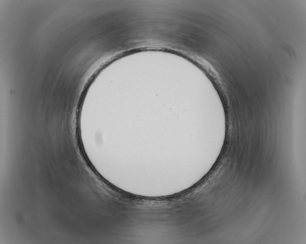 X0000114241183200911061542