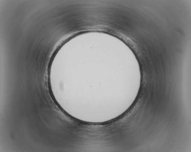 X0000114241184200911061542