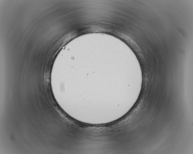 X0000114241185200911061542