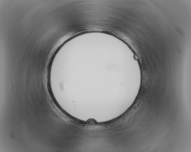 X0000114241187200911061542