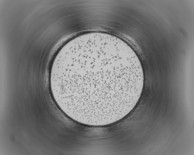 X0000114241188200911061542