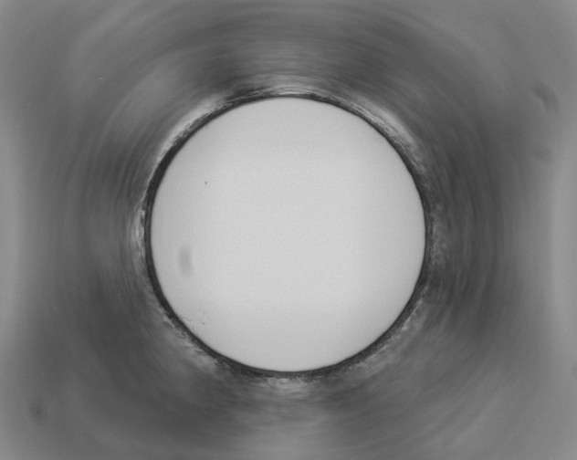 X0000114241190200911061542