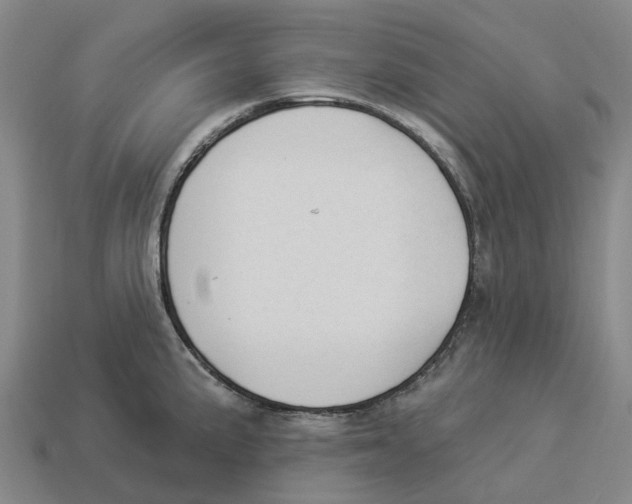 X0000114241191200911061542