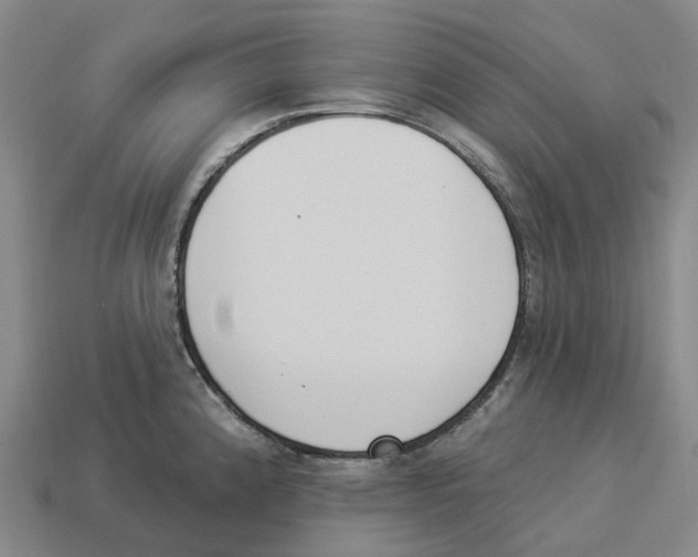 X0000114241192200911061542