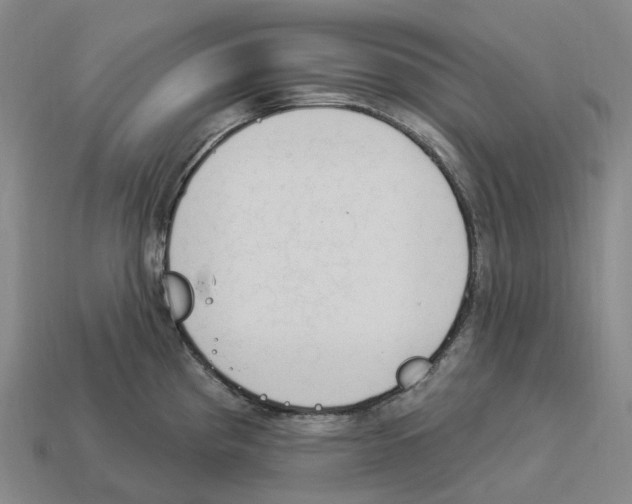 X0000114241193200911061542