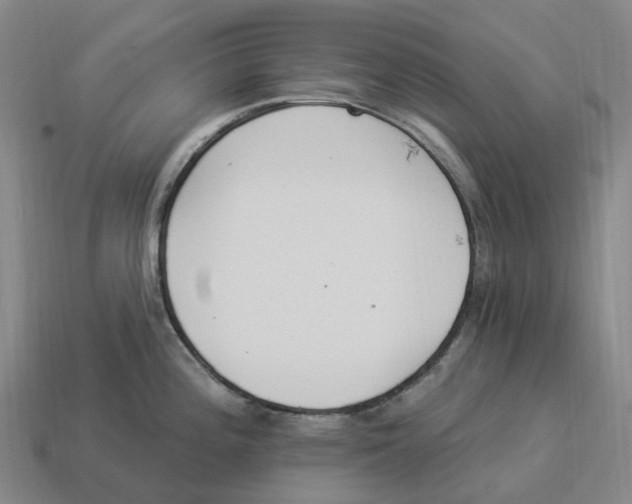X0000114241196200911061541