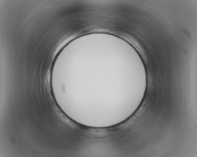 X0000114241198200911061541