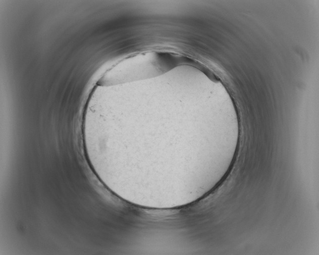 X0000114241200200911061541