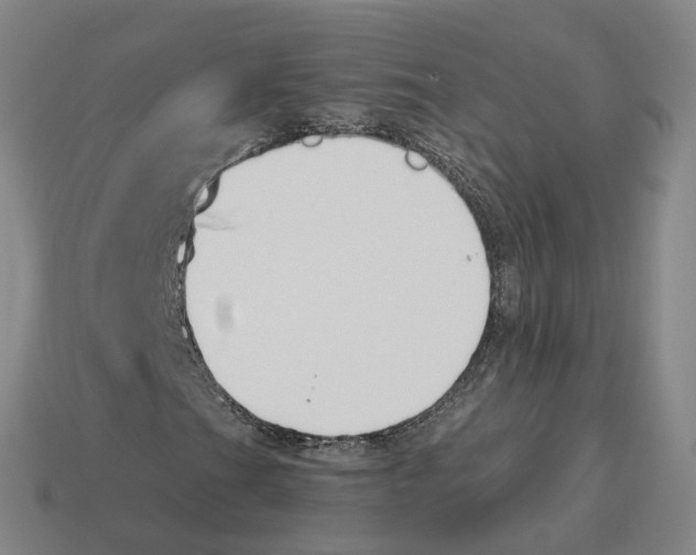 X0000114241201200911061541