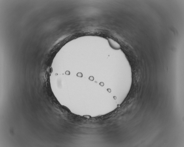 X0000114241206200911061541