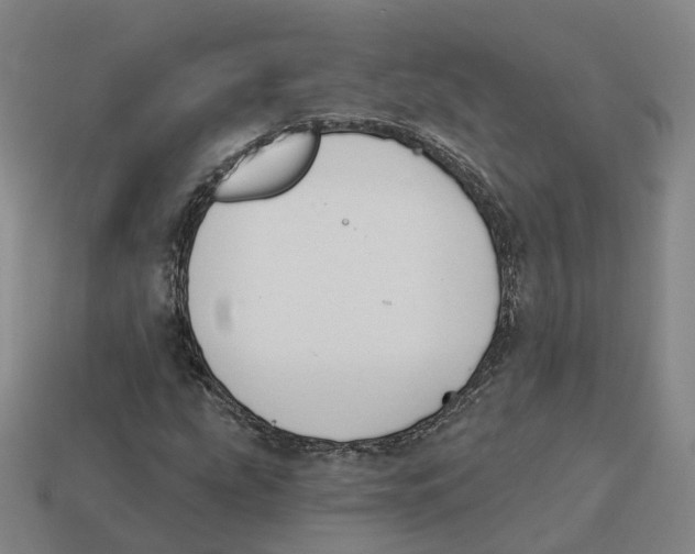 X0000114241207200911061541