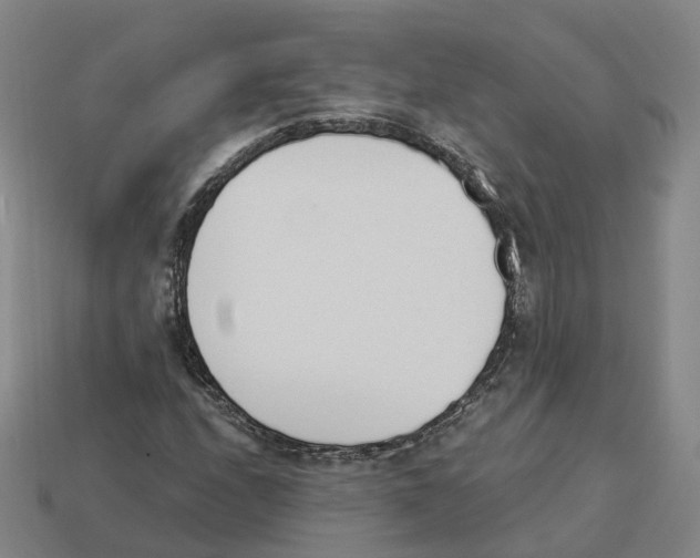 X0000114241208200911061541