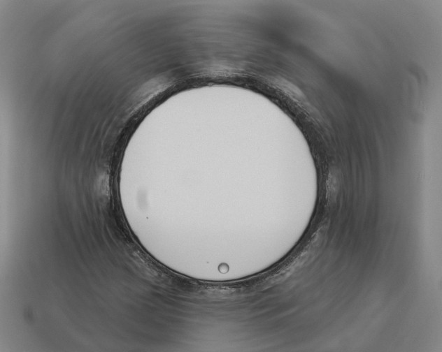 X0000114241209200911061541