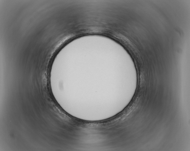 X0000114241212200911061541