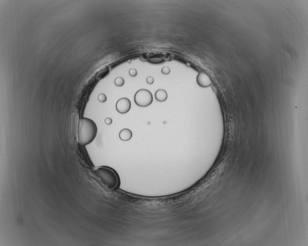 X0000114241219200911061541