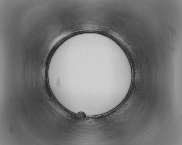 X0000114241222200911061541