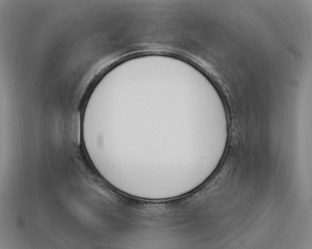 X0000114241223200911061541