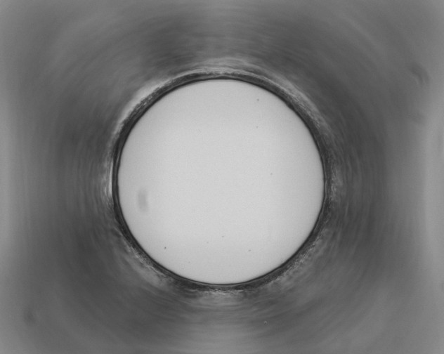 X0000114241224200911061541