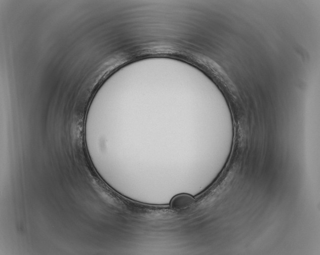 X0000114241225200911061541