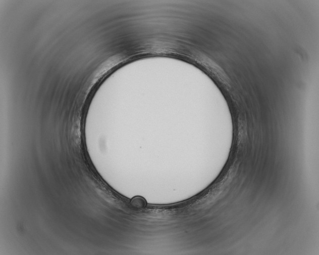 X0000114241226200911061541