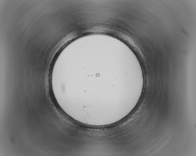 X0000114241229200911061541