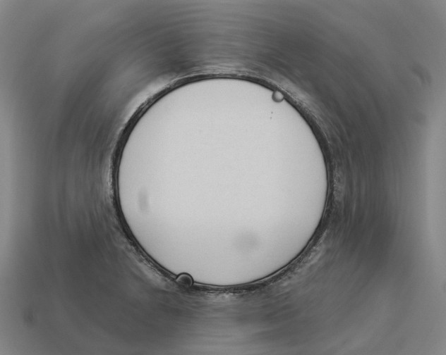 X0000114241230200911061541