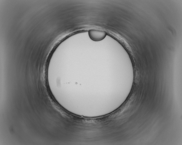 X0000114241231200911061541