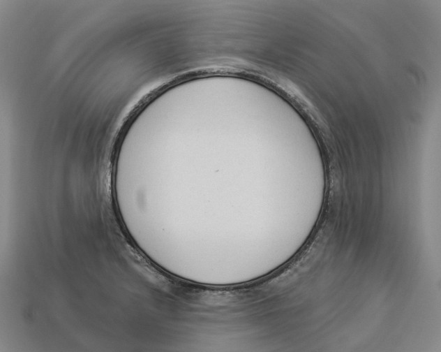 X0000114241232200911061541
